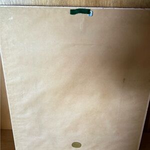 Framed Wall Art/FloranaPrintBotany style prints both of daffodils nice frame